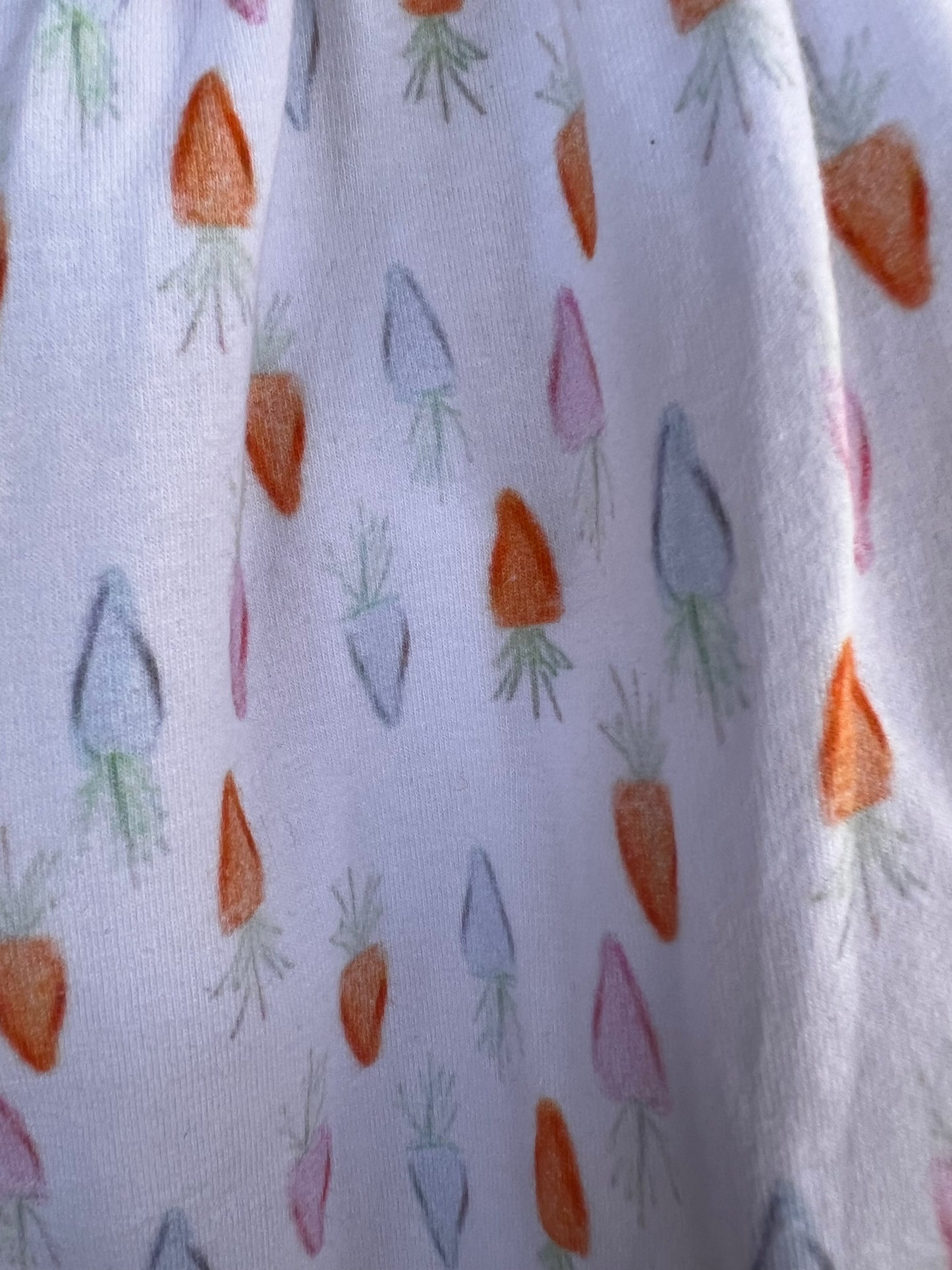 Easter Carrot Print Bubble