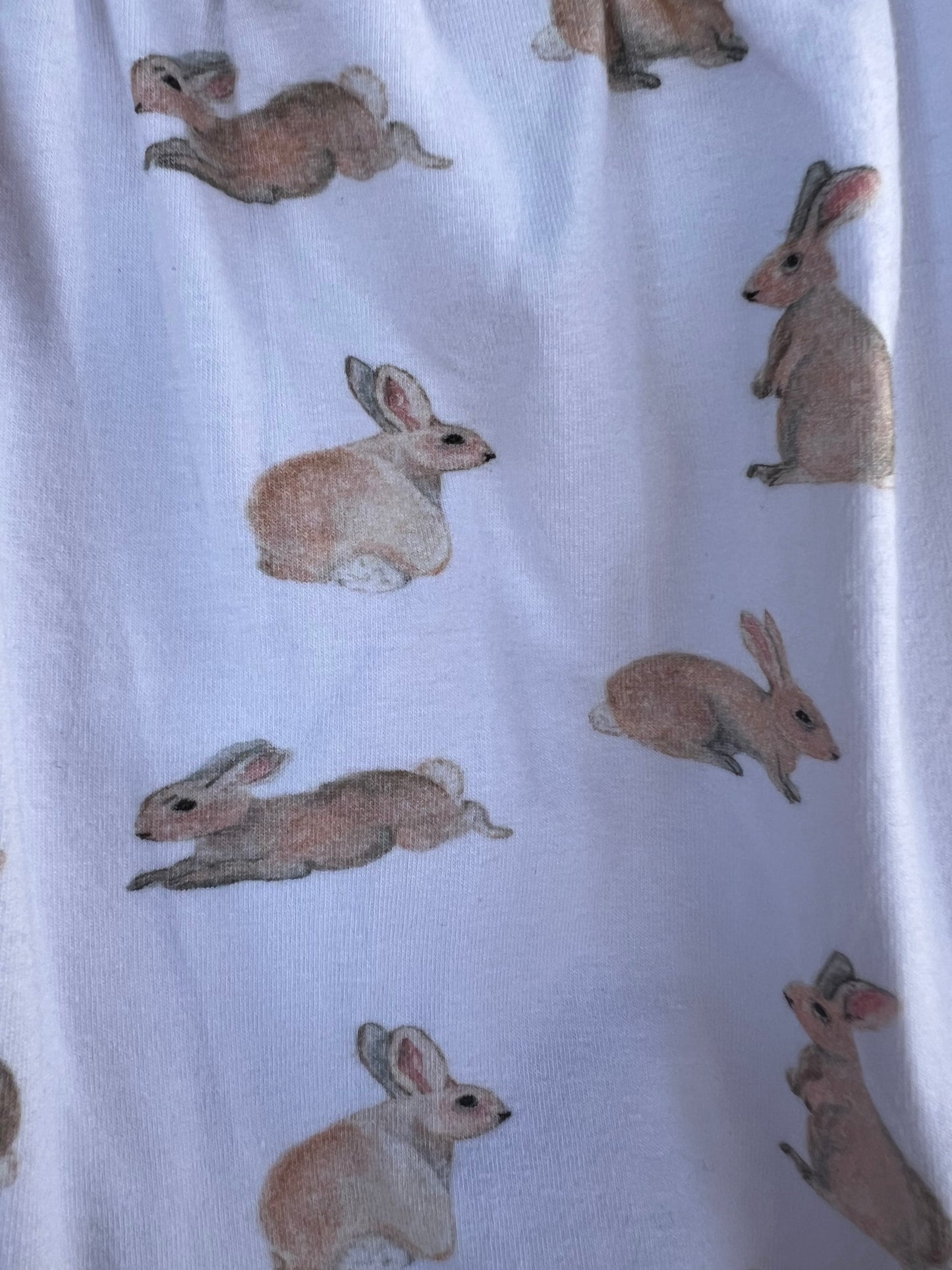 Easter Rabbit Print Bubble