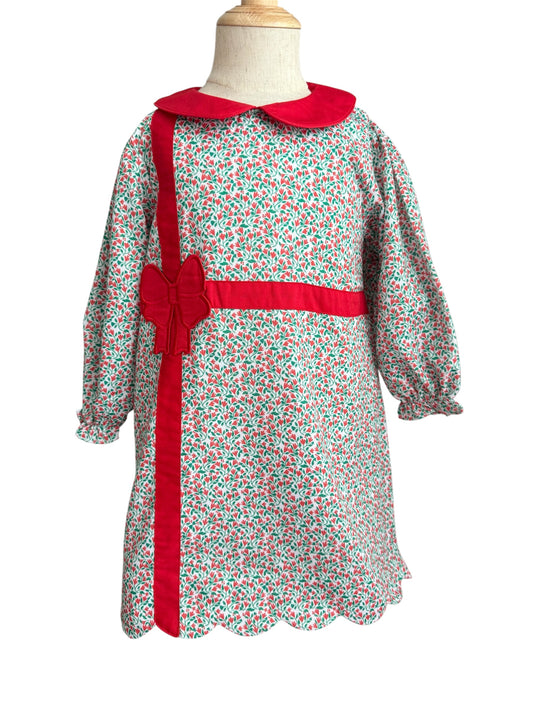 Girl’s Christmas Present Dress | Green & Red Holiday Sister Match Outfit